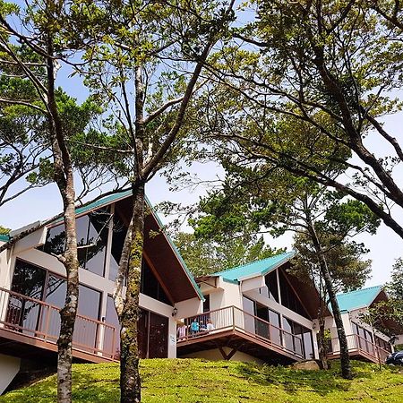Green Forest Rustic Houses Monteverde Exteriör bild