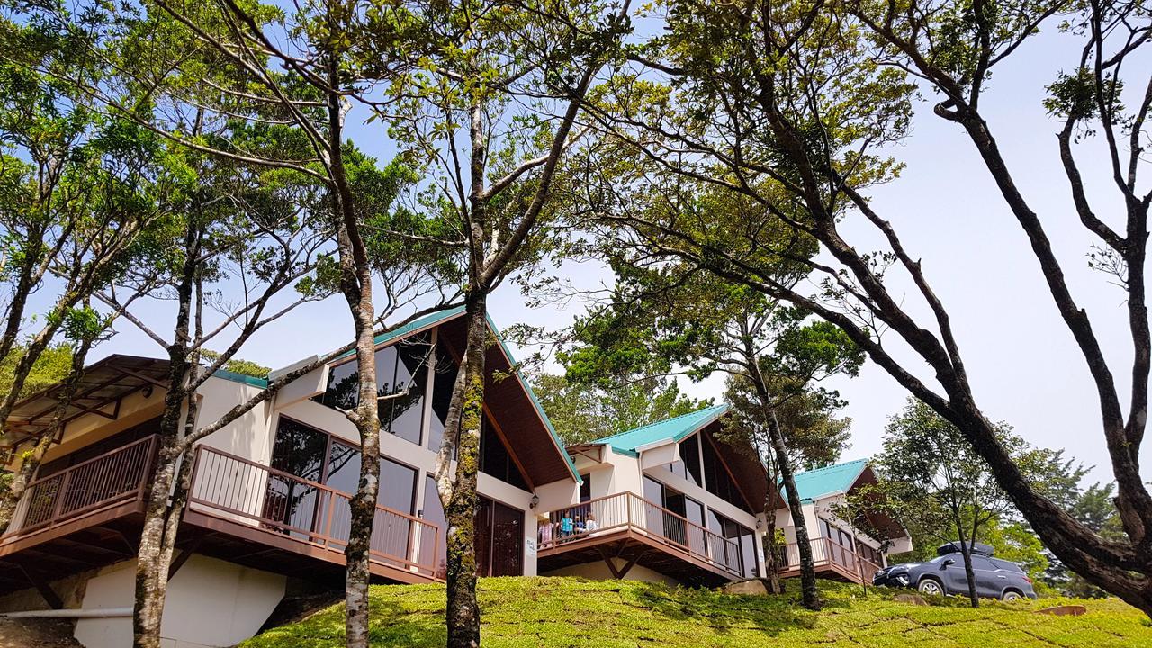 Green Forest Rustic Houses Monteverde Exteriör bild